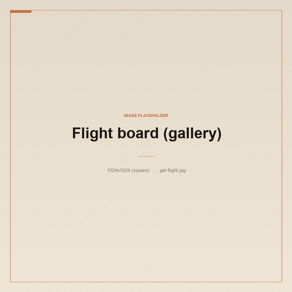 A four-beer flight lined up on a worn wooden board