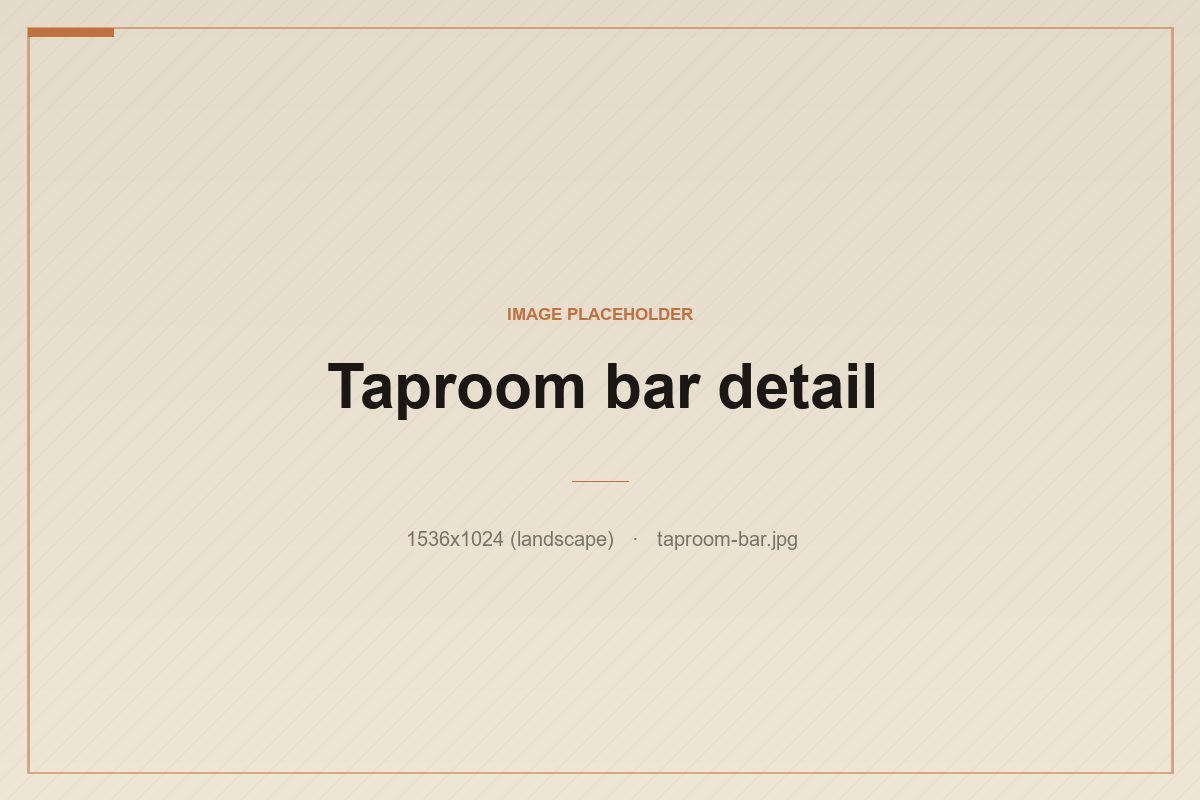 Half-full glasses of amber and dark beer on the taproom bar with the tanks beyond