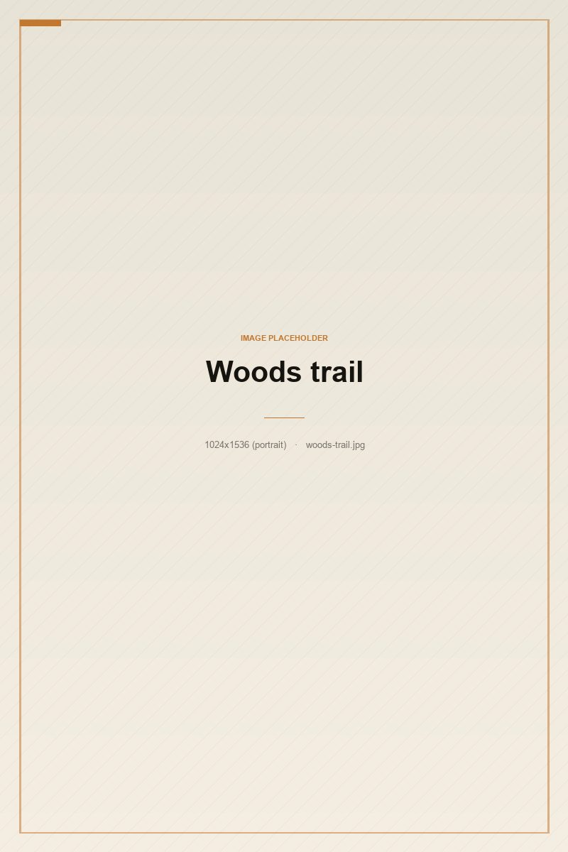 A trail into the north woods
