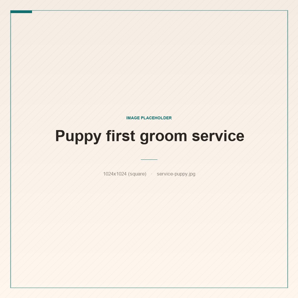An adorable puppy being gently reassured on a grooming table